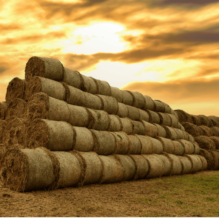 Agriculture Farming Feed and Hay Storage near shipping containers.